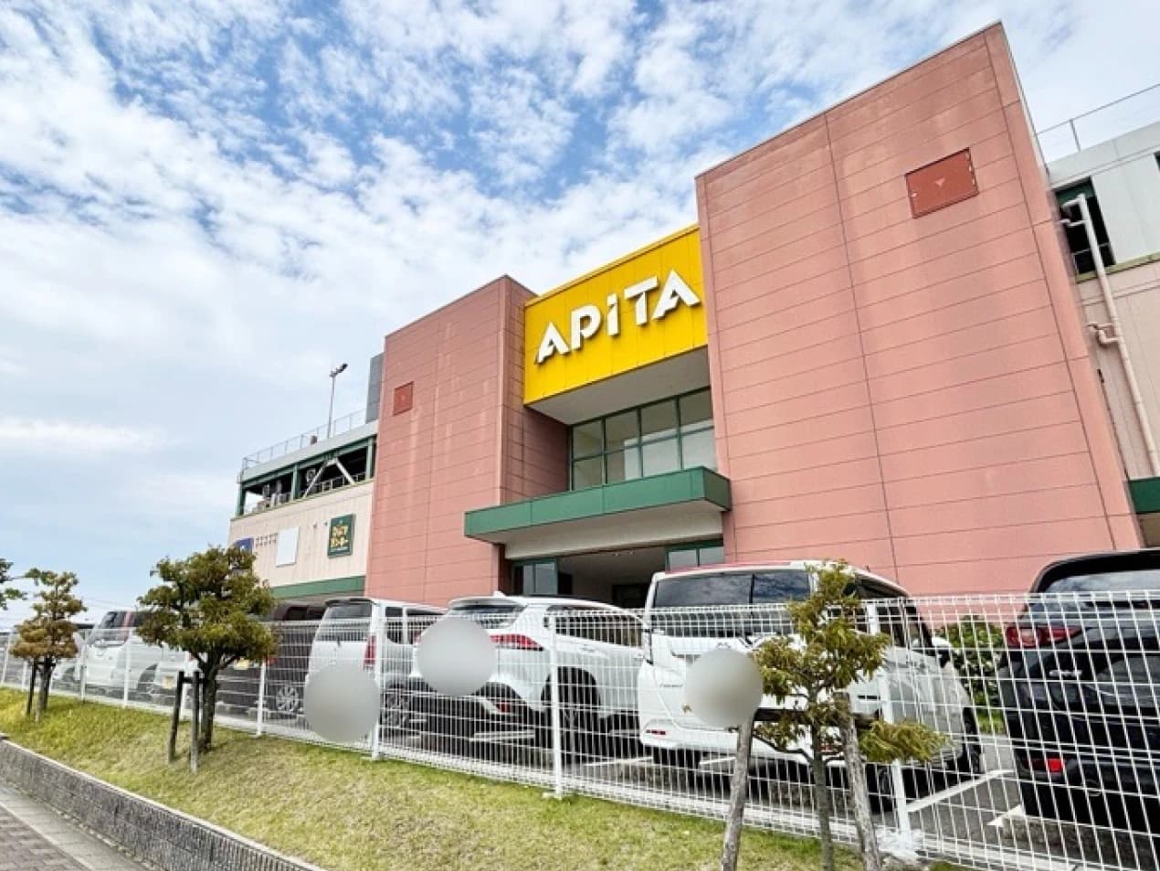 アピタ安城南店